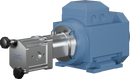 positive-displacement-pumps-m210-12-bsp-female-ssc-fpmplain-motor-0.37-kw-960-rpm-d80-coupling-8010030543-left_medium.webp