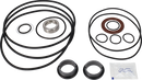 pumps-sicsic-flushed-shaft-seal-9611922664-content_medium.webp