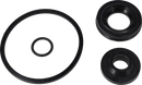 valves-service-kit-epdm-oo-special-lip-seal-38nw40-9611920447-content_medium.webp
