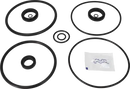 valves-service-kit-epdm-unique-double-seat-101.6dn100-plug-set-up-1-and-15-9611921554-content_medium.webp