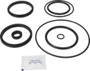 valves-service-kit-epdm-unique-double-seat-63.5-76dn65-80-mix-with-dn125-150-plug-set-up-12-9611926213-content_medium.webp
