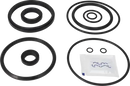 valves-service-kit-epdm-unique-double-seat-dn125dn150-plug-set-up-3-and-16-9611926033-content_medium.webp