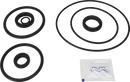 valves-service-kit-epdm-unique-double-seat-dn50-mix-with-dn125-150-plug-set-up-9-9611926137-content_medium.webp