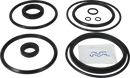 valves-service-kit-fpm-unique-double-seat-63.5-76dn65-80-plug-set-up-2-and-13-9611921588-content_medium.webp