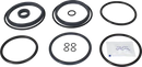 valves-service-kit-fpm-unique-double-seat-63.5-76dn65-80-plug-set-up-6-9611921684-content_medium.webp