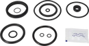 valves-service-kit-fpm-unique-to-51dn50-stub-flange-valve-plug-set-up-6-9611926483-content_medium.webp