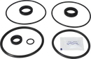 valves-service-kit-hnbr-unique-double-seat-101.6dn100-plug-set-up-9-9611926365-content_medium.webp