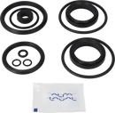 valves-service-kit-hnbr-unique-double-seat-38dn40-plug-set-up-4-and-14-9611921640-content_medium.webp