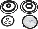 valves-service-kit-hnbr-unique-double-seat-51dn50-plug-set-up-2-and-13-9611921592-content_medium.webp