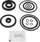 valves-service-kit-hnbr-unique-double-seat-51dn50-plug-set-up-5-and-8-9611921665-content_medium.webp