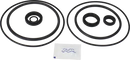valves-service-kit-hnbr-unique-double-seat-dn125-150-plug-set-up-9-9611926060-content_medium.webp
