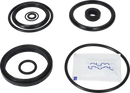 valves-service-kit-hnbr-unique-to-51dn50-stub-flange-valve-plug-set-up-12-9611926468-content_medium.webp