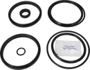 valves-service-kit-nbr-cp-3-2-valve-plug-set-up-12-9611928094-content_medium.webp