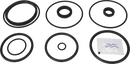 valves-service-kit-nbr-unique-double-seat-3-body-63.5dn65-plug-set-up-31-9611928457-content_medium.webp
