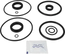 valves-service-kit-nbr-unique-double-seat-63.5-76dn65-80-plug-set-up-1-and-15-9611921558-content_medium.webp