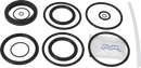 valves-service-kit-unique-mixproof-cip-hnbr-iso-51dn50-8010026160-content_medium.webp