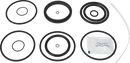 valves-service-kit-unique-mixproof-cip-hnbr-iso-63-5dn65-8010026163-content_medium.webp
