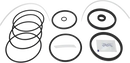 valves-service-kit-unique-mixproof-process-clamped-hnbr-iso-101-6dn100-8010029673-content_medium.webp